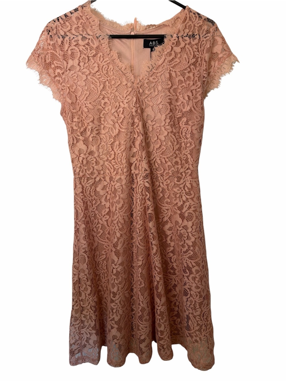ABS Lace A-Line Dress in Blush Pink NWT